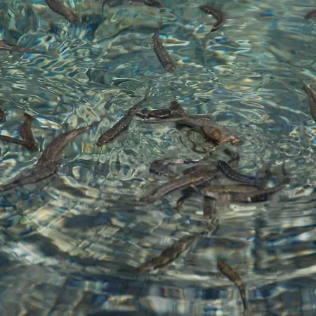 Apartmán Laerchenhuette Tauplitzalm