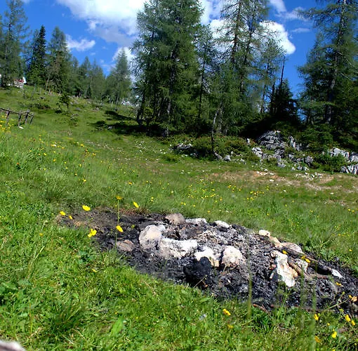 Laerchenhuette * Tauplitzalm