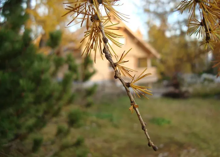 شقة Laerchenhuette *