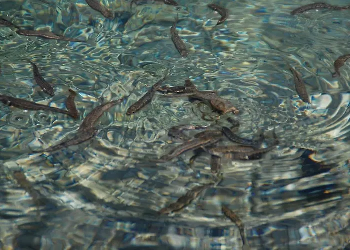 Appartement Laerchenhuette Tauplitzalm